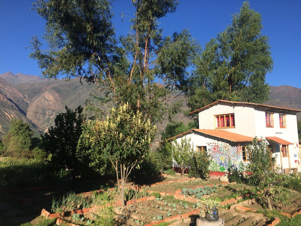 Apu Ecolodge Caraz Exterior photo
